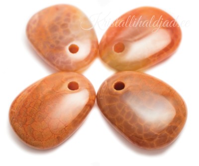 Tuliahhaat auguga suur