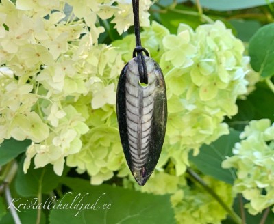 Fossiil Ortotšeras marmoris ripats auguga