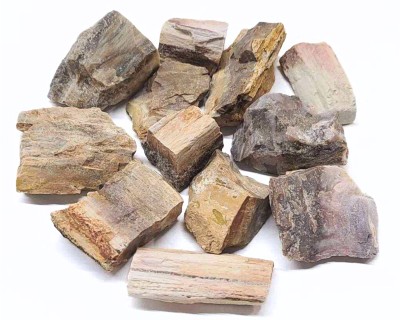 Kivistunud puit auguga